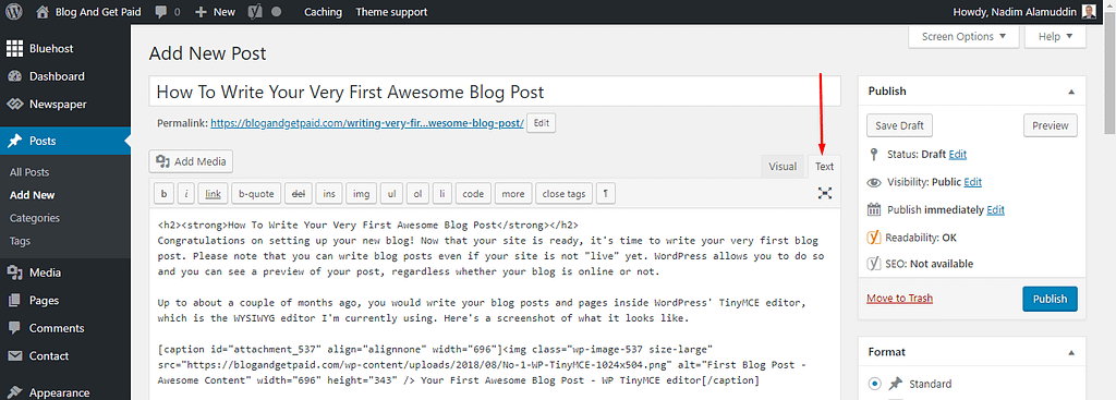 TinyMCE WP Editor - Very First Blog Post - Epic Content