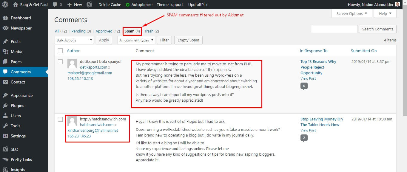 Spam Comments Screenshot of WordPress - Amazing WordPress Plugins