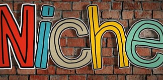 Image showing "Niche" letters against a brick wall background. Choosing Your Blogging Niche.