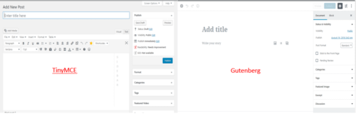 TinyMCE vs. Gutenberg - Your Very First Epic Blog Post