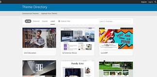 Zero To Theme - Choose a theme - Featured Image