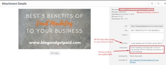 Screenshot of WordPress "Add Media" option - increase organic search traffic