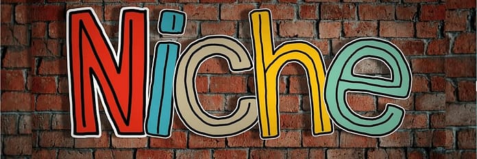 Image showing "Niche" letters against a brick wall background. Choosing Your Blogging Niche.