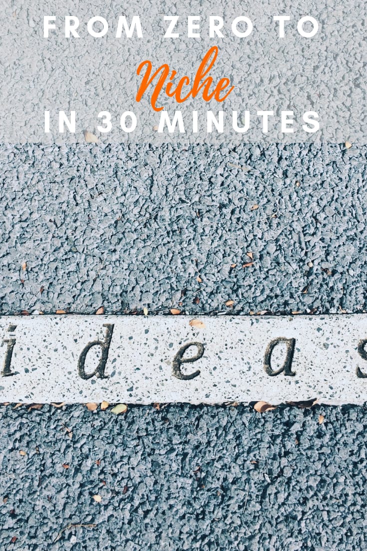 From Zero To Niche In 30 Minutes