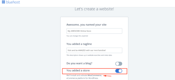 Bluehost wizard screenshot, asking you to fill info - Setting Up Your WooCommerce Store